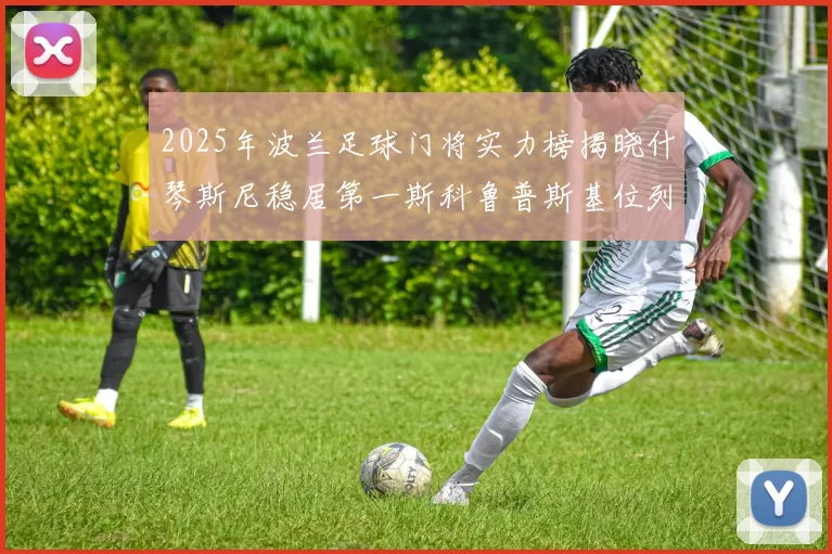 2025年波兰足球门将实力榜揭晓什琴斯尼稳居第一斯科鲁普斯基位列第三
